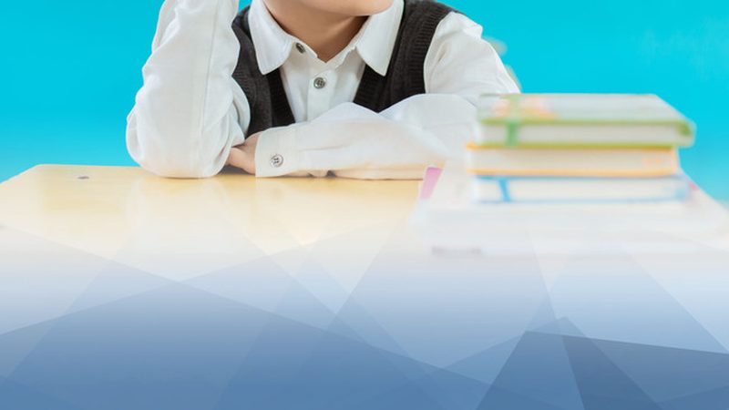 教育机构招生代理加盟公司排名
